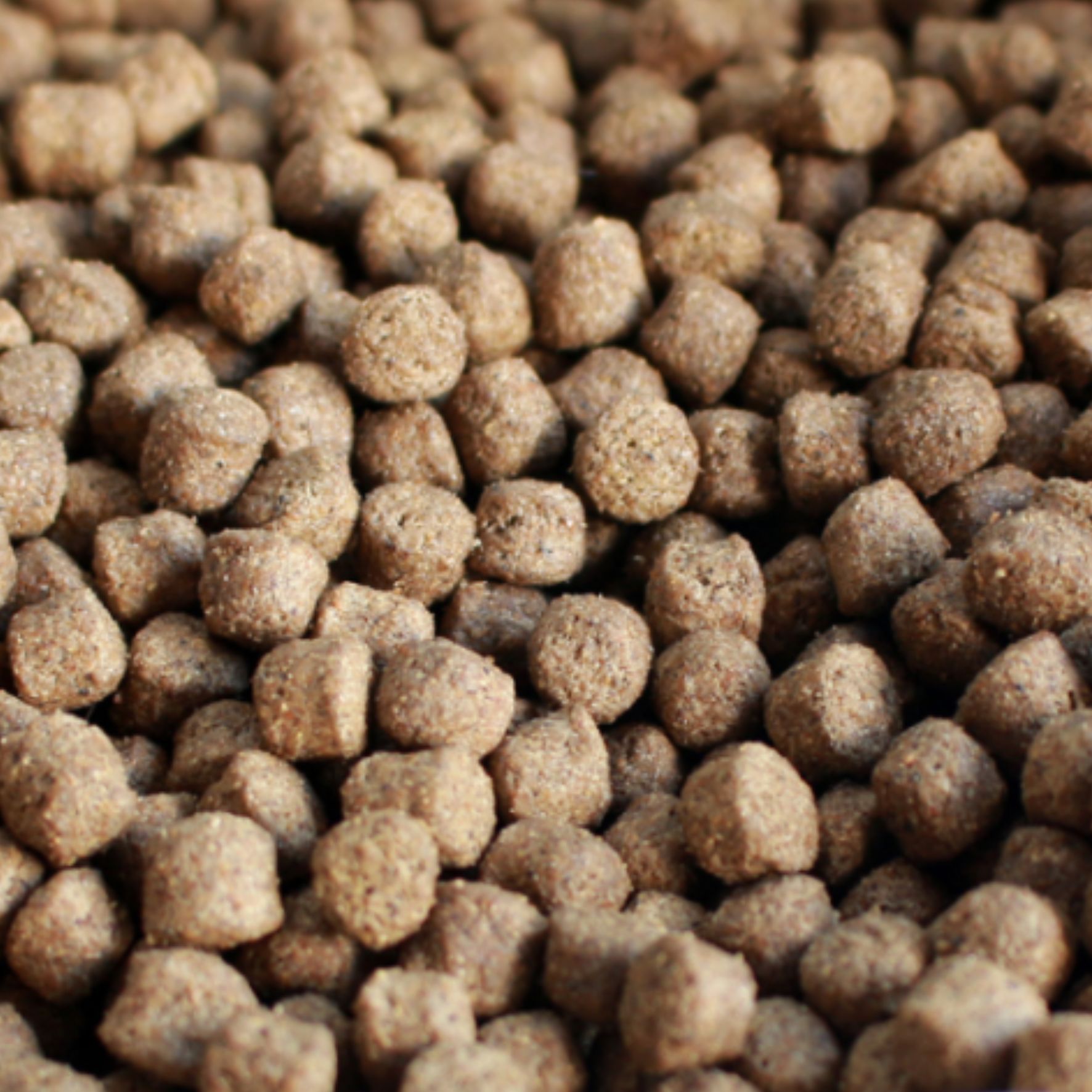 Granule