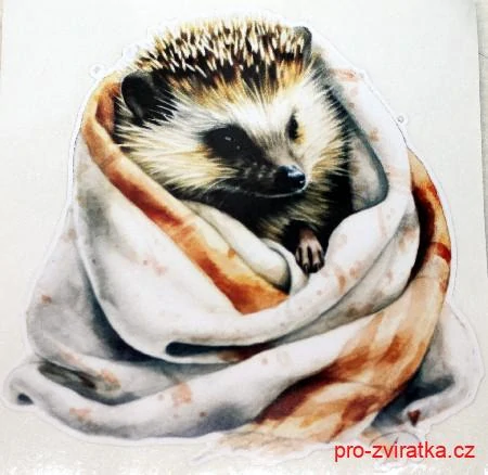 Samolepka na auto - ježek západní
