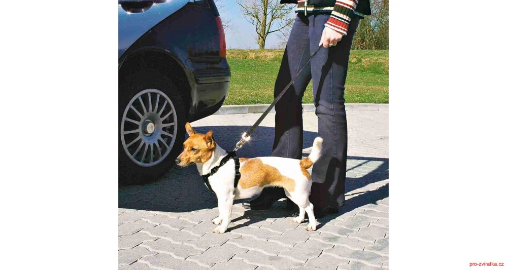 Postroj do auta pro psa XS 20-50cm