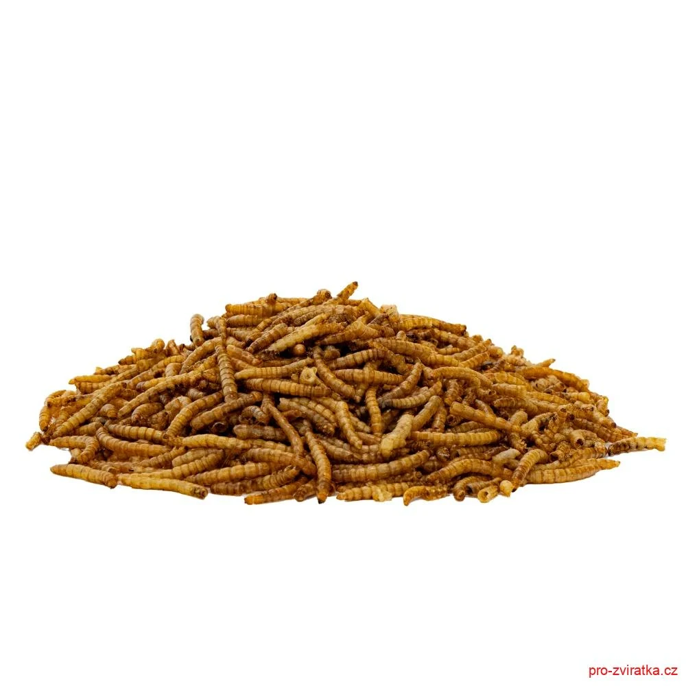 Mouční červi, sáček 35 g