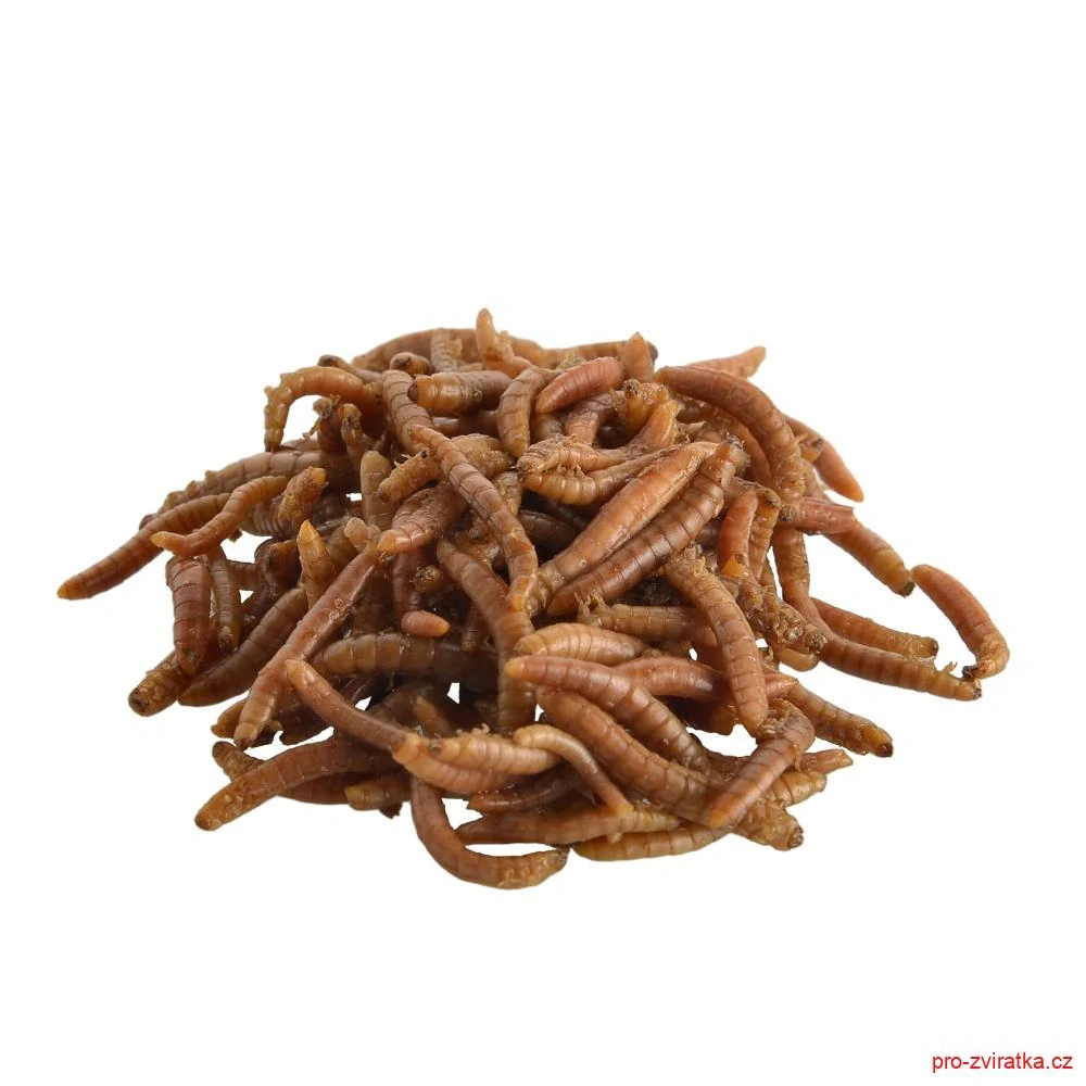 Mouční červi, konzerva 35 g