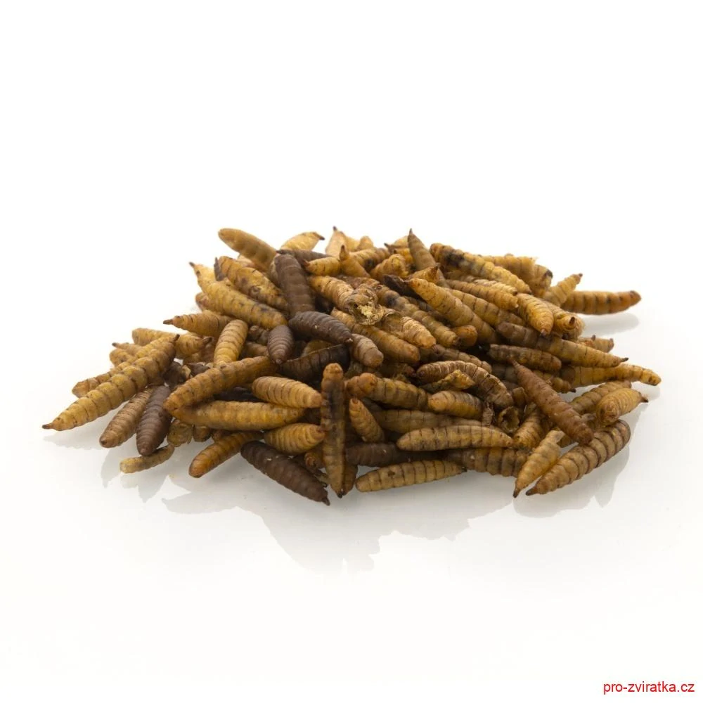 Bráněnka JUKO, dóza 500 ml (75 g)