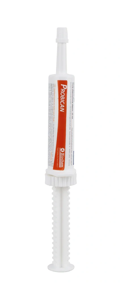 Probican pasta 15ml