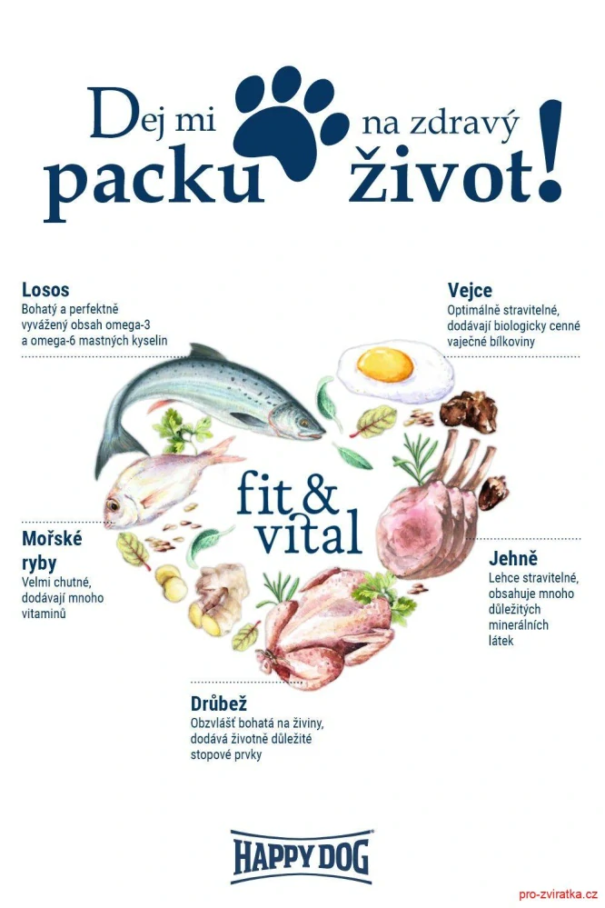 HD fit & vital Mini Light