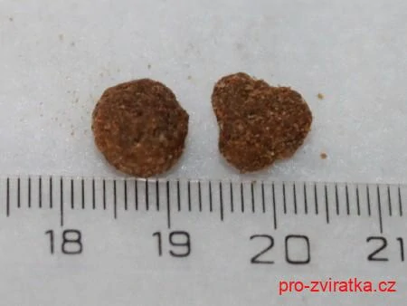 Harper and Bone Cat Sterilised čerstvé z trhu