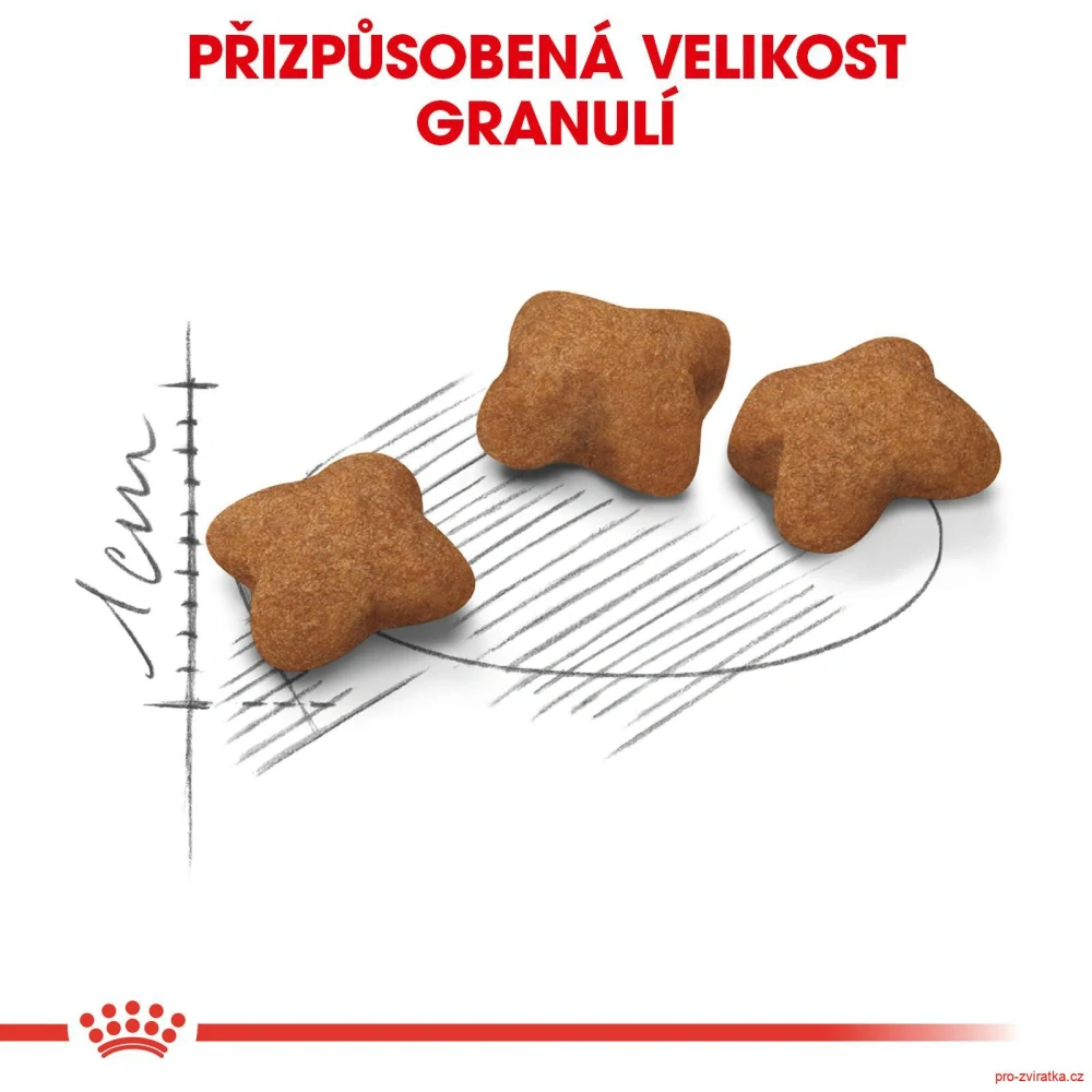 Royal Canin Cat Kitten Sterilised