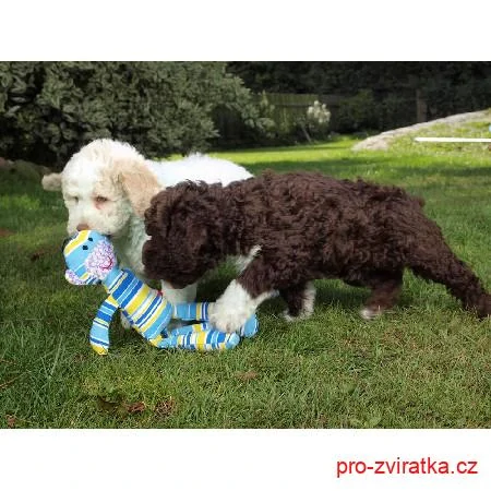 E.T. toy, textilní hračka, 34cm