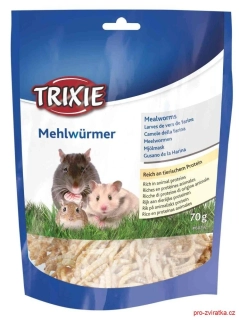MEALWORMS, mouční červi sušení, 70g