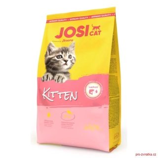 JosiCat Kitten