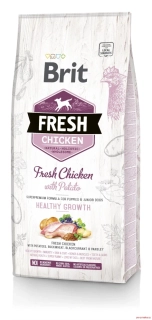 Brit Fresh Dog Chicken&Potato Puppy Healthy Growth 2,5kg