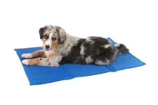 Podložka chladící Cooling mat
