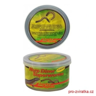 Lucky Reptile Herp Diner Superworms 35g